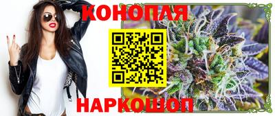 дживик Можга