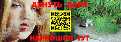 дживик Можга
