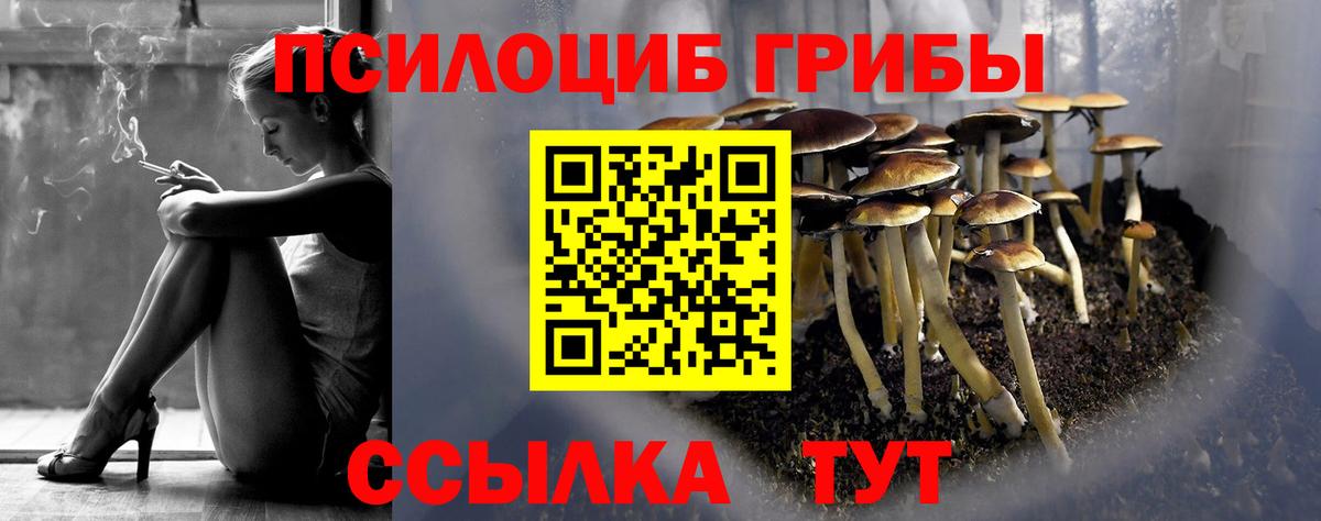 Псилоцибиновые грибы мицелий  как найти   Гусев  Вход с VPN 
